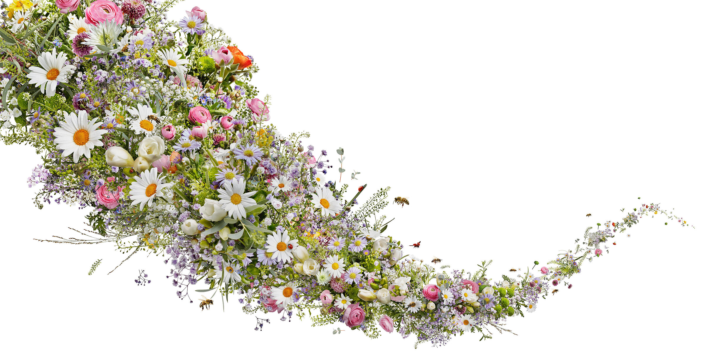 Motiv Blumen Frühling
