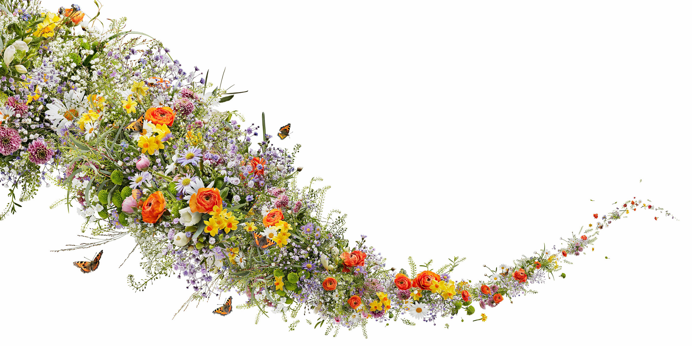 Motiv Blumen Sommer