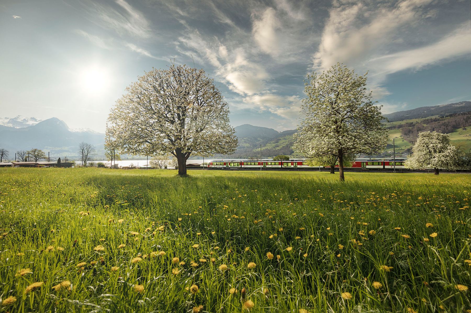 Zentralbahn